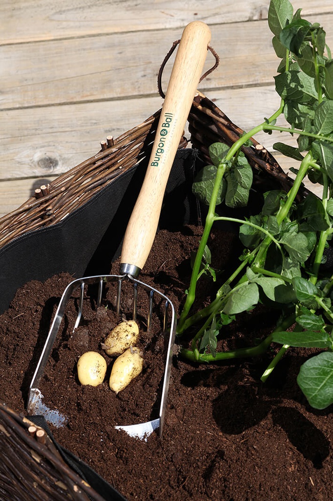 RHS Mid Handled Potato Harvesting Scoop 02