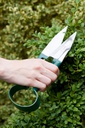 Topiary Trimming Shears Large  02