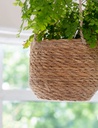 Hanging Plant Pot - Short