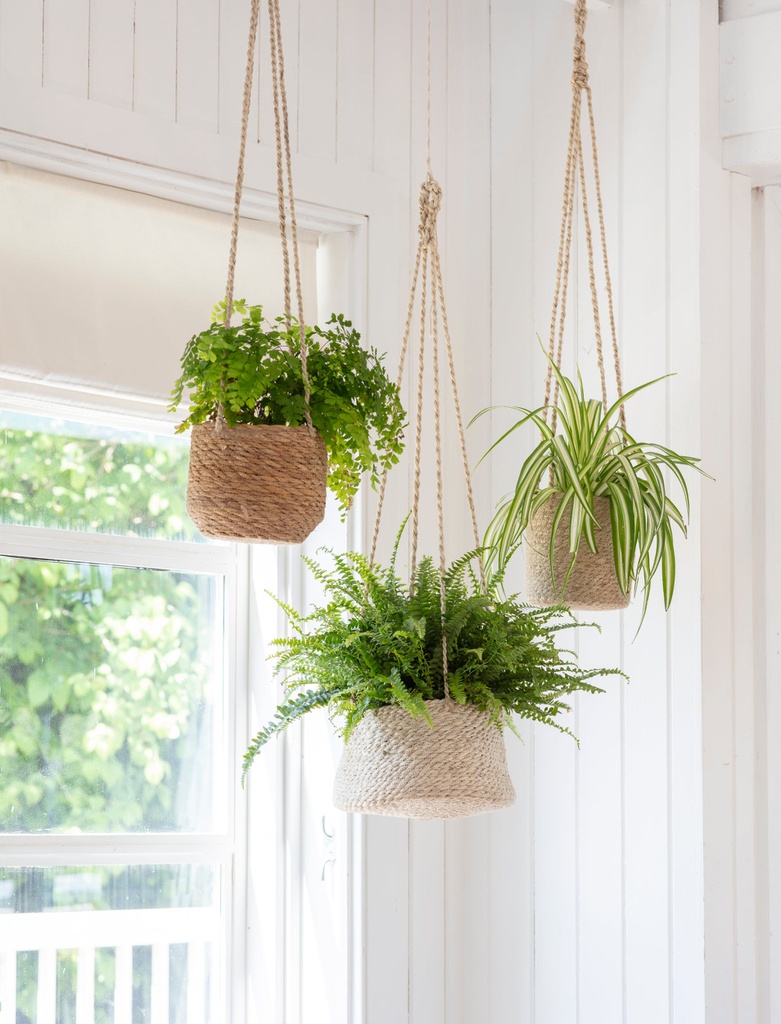 Hanging Plant Pot - Tall