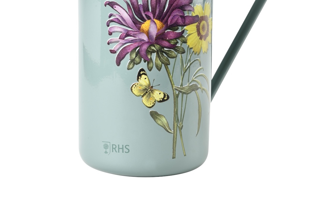 RHS Gift Indoor Can Asteraceae