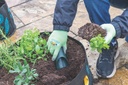 Growing Gardeners Soil Scoop (Set of 3)