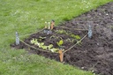 Growing Gardeners Vegetable Garden Set