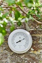 Sophie Conran - Dial Garden Thermometer 02