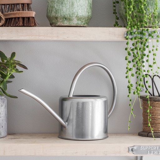 [GT/WCST02] 1.9L Indoor Watering Can - Silver