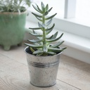 Winson Plant Pot - Silver