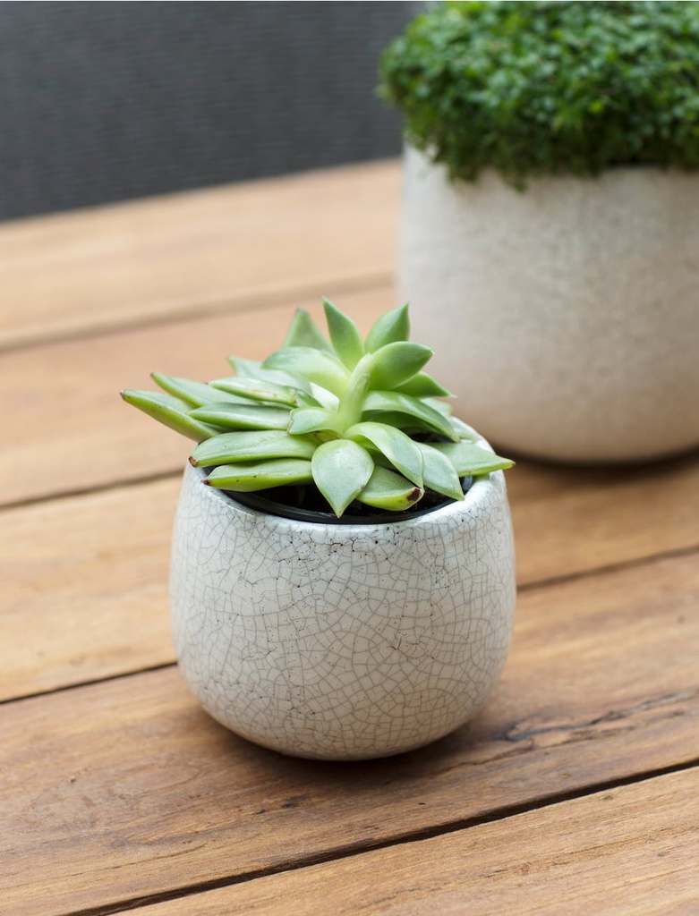 Ravello Plant Pot - Small