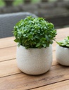 Ravello Plant Pot - Large