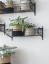 Wirework Basket Shelf Black - Medium