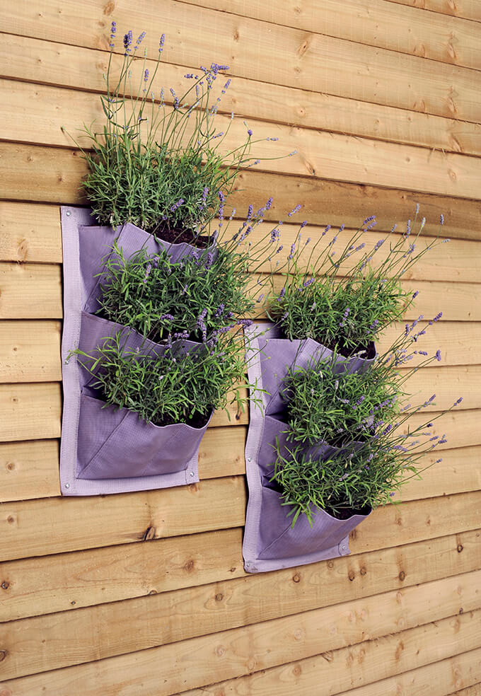 Lavender Verti-Plant®