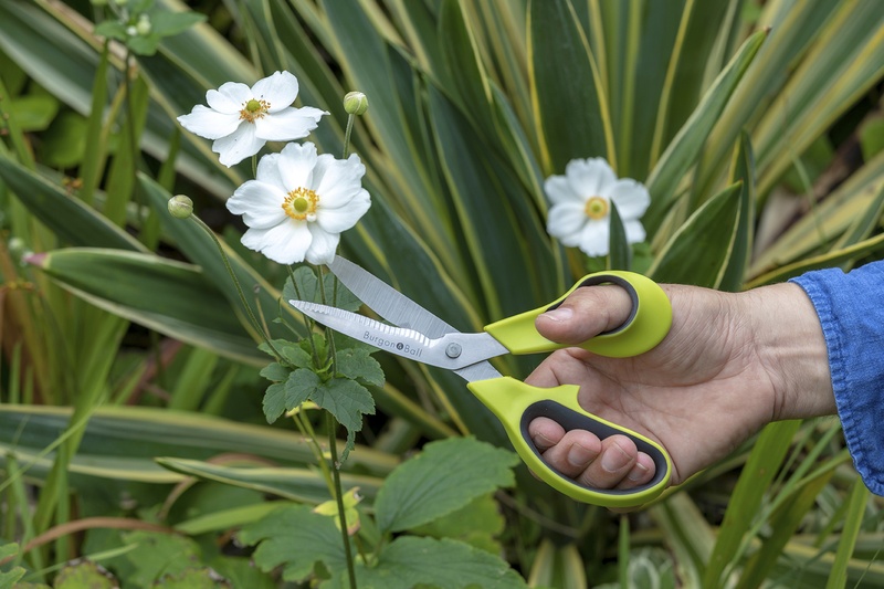 [GTO/SCISSOR] Garden & Flower Scissors
