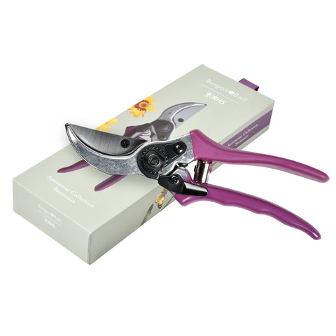 [GRH/SCBOXASTER] RHS Gift Secateurs Asteraceae