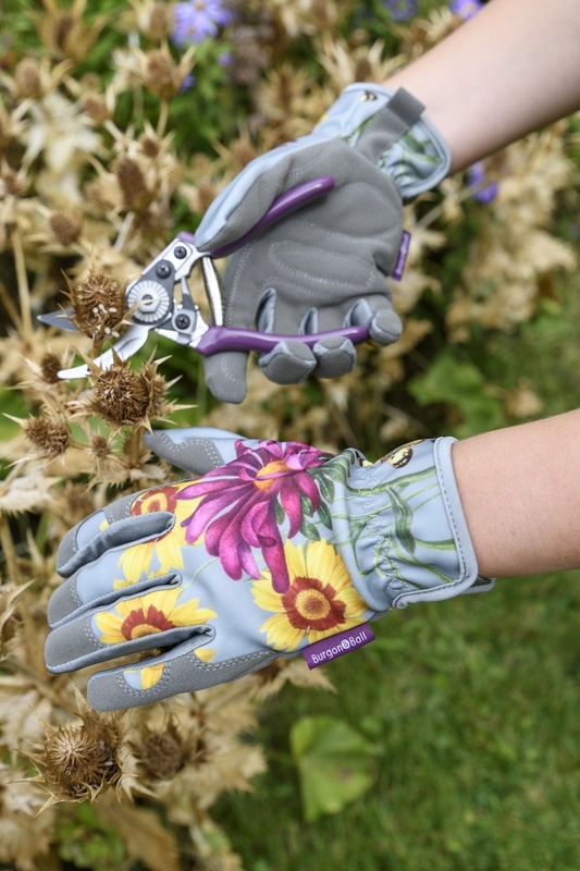 [GRH/GLOVEASTER] RHS Gift Gloves Asteraceae