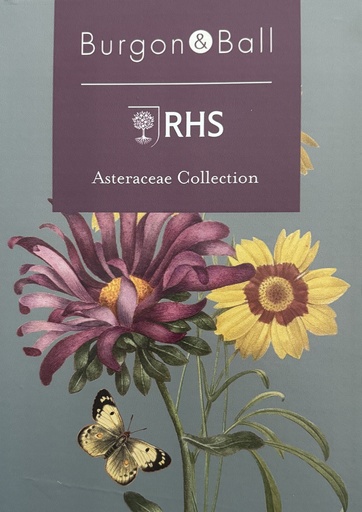 RHS Asteraceae Collection A4 POS